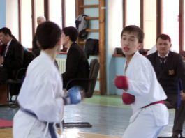 Завершился чемпионат ЮКО по каратэ до среди кадетов и юниоров