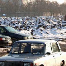 Лесхоз пытается вернуть земли, занятые авторынком Лесхоз пытается вернуть земли, занятые авторынком