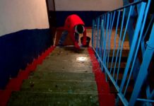 В Шымкенте чистоту подъездов обеспечивает  уникальное предприятие В Шымкенте чистоту подъездов обеспечивает уникальное предприятие