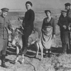 Шпаргалка. Мы помним!