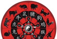 Собачий гороскоп — 2018 на все случаи жизни