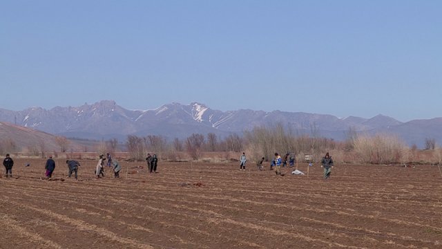 Тюлькубасский район