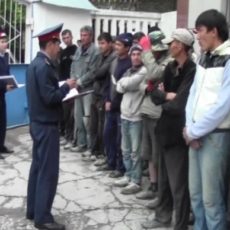В ЮКО за 3 дня выявлено более 800 незаконных мигрантов В ЮКО за 3 дня выявлено более 800 незаконных мигрантов