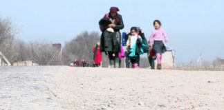 Пока установят знаки пешеходных переходов и нарисуют дорожную разметку, учебный год в школах закончится Пока власти устанавливают знаки пешеходных переходов и рисуют дорожную разметку, учебный год в школах закончится