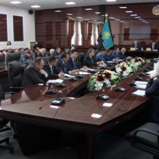 Расходы на образование и здравоохранение в ЮКО сокращают, но увеличивают на разведение джейранов