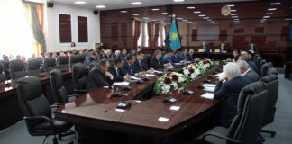 Расходы на образование и здравоохранение в ЮКО сокращают, но увеличивают на разведение джейранов