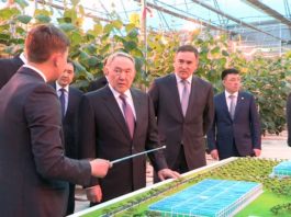 Нурсултан Назарбаев посетил Южно-Казахстанскую область