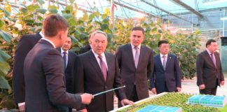 Глава государства посетил Южно-Казахстанскую область Нурсултан Назарбаев посетил Южно-Казахстанскую область