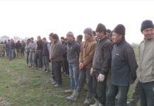 Сотрудники миграционной полиции вышли в рейд по трудовым нелегалам Сотрудники миграционной полиции области вышли в рейд