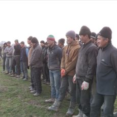 Сотрудники миграционной полиции вышли в рейд по трудовым нелегалам Сотрудники миграционной полиции области вышли в рейд