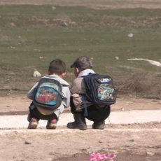 Пока устанавят знаки пешеходных переходов  и нарисуют дорожную разметку, учебный год в школах закончится