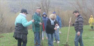 Шымкентцы заложили новую рощу в районе реки Боралдай