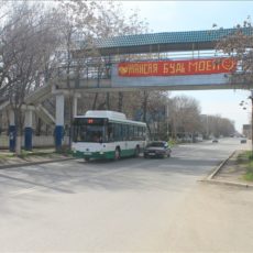Необычное признание в любви появилось в Шымкенте
