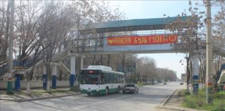 Необычное признание в любви появилось в Шымкенте