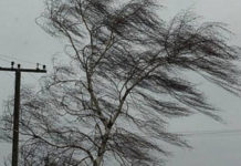 Штормовое предупреждение объявлено в ЮКО на выходные дни