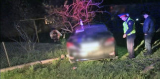 В ЮКО пьяная женщина совершила ДТП В ЮКО пьяная женщина совершила ДТП