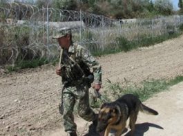 На казахстанско-узбекской границе произошло вооруженное нападение