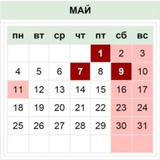 Жаркие выходные ожидают шымкентцев в майские праздники