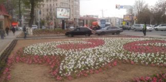 555 миллионов тенге в этом году потратит Шымкент на озеленение 555 миллионов тенге, в этом году, потратит Шымкент на озеленение
