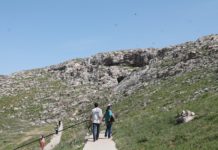 Природные богатства Южного Казахстана Природные богатства Южного Казахстана