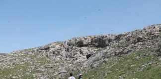 Природные богатства Южного Казахстана Природные богатства Южного Казахстана