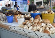 В Казахстане запретили торговать на рынках грибами и пирожками Продажа грибов