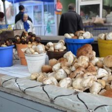 В Казахстане запретили торговать на рынках грибами и пирожками Продажа грибов