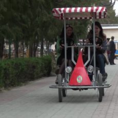 Экскурсия в зоопарке Шымкента не будет утомительной Экскурсия в зоопарке Шымкента не будет утомительной
