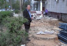 Вековые дубы не вписались в новый архитектурный облик здания в Шымкенте В Шымкенте вековые дубы не вписались в новый архитектурный облик здания