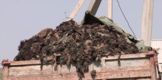 Скандал разразился около мусорного полигона в селе Мартобе Скандал разразился около мусорного полигона в селе Мартобе