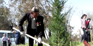 В честь 20-летия Ассамблеи народа Казахстана шымкентцы высадили 30 елей