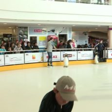 vlcsnap-2015-04-21-16h39m29s7