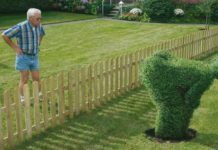 Как «достать» соседа