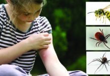 Какая опасность подстерегает нас на природе