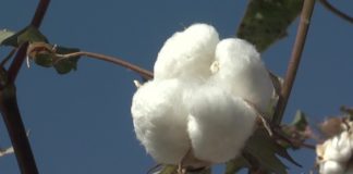 Компания сохранила 195 млн. тенге