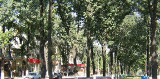 Шымкент — город-магнит