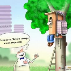 Как правильно покупать квартиру