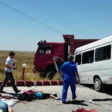 До 14 человек возросло количество жертв трагедии в Шымкенте Страшная авария, произошедшая сегодня на въезде в Шымкент, унесла жизни 13 человек