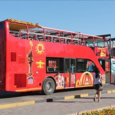 В Шымкенте появились экскурсионные автобусы