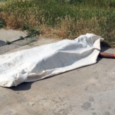 В Шымкенте от мощного удара электрическим током погибли два человека