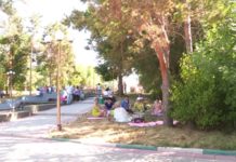 Международный день йоги отметили в Шымкенте В Дендропарке отметили Международный день йоги