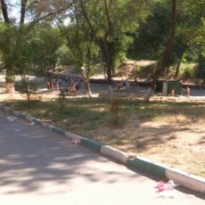 Шымкентцы жалуются на мусор у истоков Кошкараты