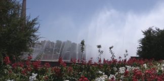 Купаться в городских фонтанах опасно! Купаться в городских фонтанах опасно