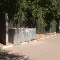 От мусора не спасают ни урны, ни мусорный контейнер, который находится неподалеку