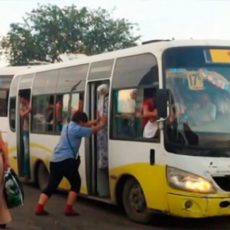 Отец замакима Туркестана выиграл тендер на осуществление городских перевозок