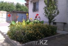 Стартовала акция «Чистый город» в Шымкенте Жители Шымкента стремятся сделать свой двор лучшим