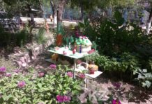 Жители Шымкента стремятся сделать свой двор лучшим Жители Шымкента стремятся сделать свой двор лучшим