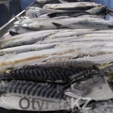 Личинки паразитов обнаружили в рыбе из магазина в Нур-Султане На первом этапе, брикеты с рыбой размораживают и обрабатывают, затем отправляют в посолочный цех
