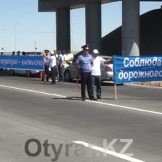 За двое суток в Шымкенте выявлено более 500 нарушений ПДД