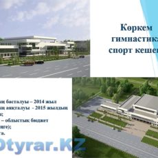 В ЮКО откроются 5 крупных спортивных комплексов